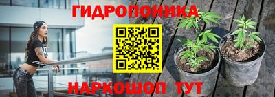 винт Партизанск