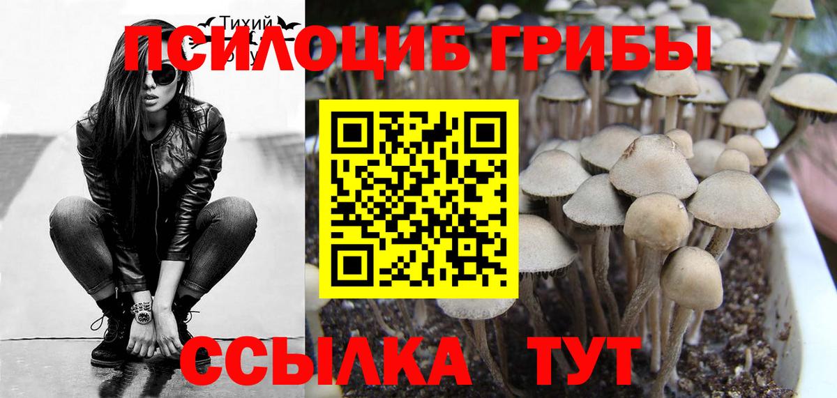 Галлюциногенные грибы Psilocybe  Вход с VPN  Псилоцибиновые грибы Magic Shrooms  Ставрополь 