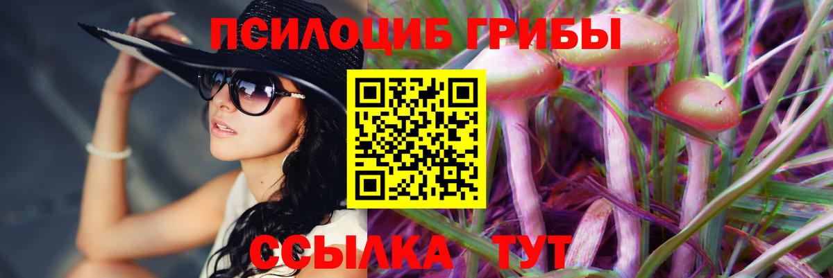 Псилоцибиновые грибы мицелий Ставрополь